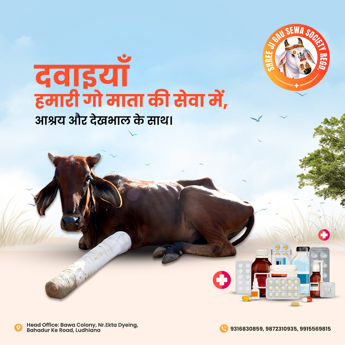 दवाइयाँ