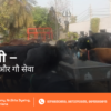 Kaalashtami Bhairav Puja Gau Seva