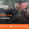 Gau Seva Donation India