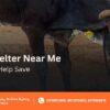 animal shelter near me