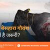 Ghyal Gauvansh Ki Seva