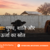 Gaushala Seva Ka Mahatva