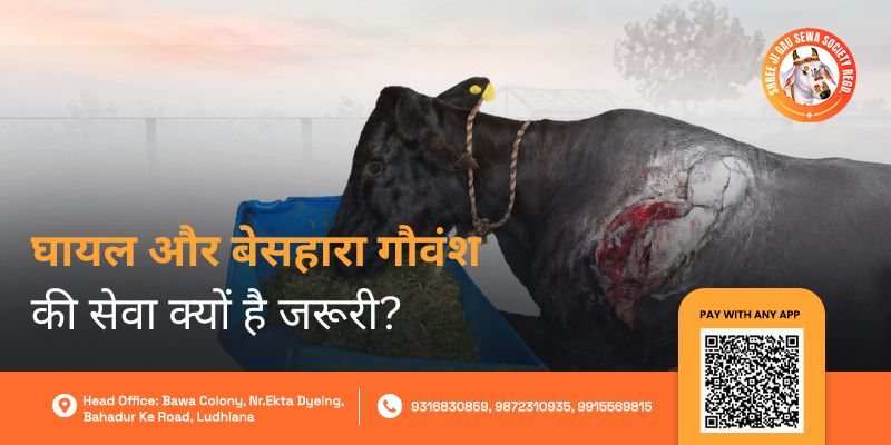 Ghyal Gauvansh Ki Seva