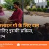 Online Donation for Cow in India