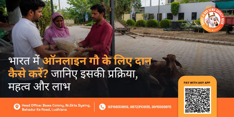 Online Donation for Cow in India