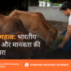 Gau Seva ka Mahatva