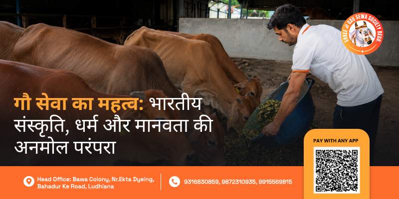 Gau Seva ka Mahatva