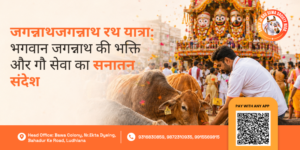 Jagannath Rath Yatra Gau Seva