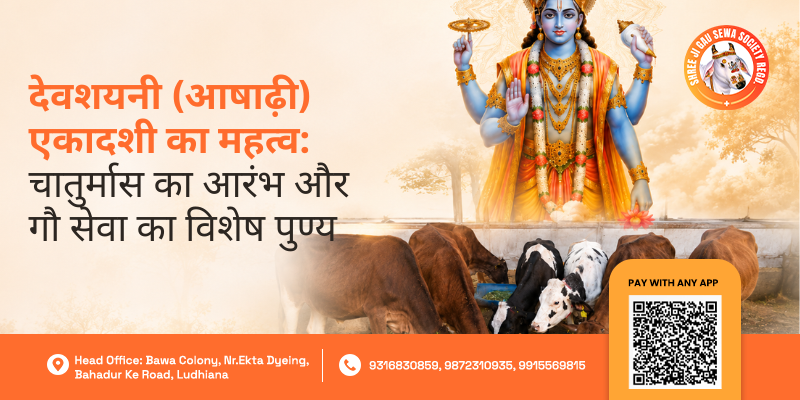 Devshayani Ekadashi Gau Seva