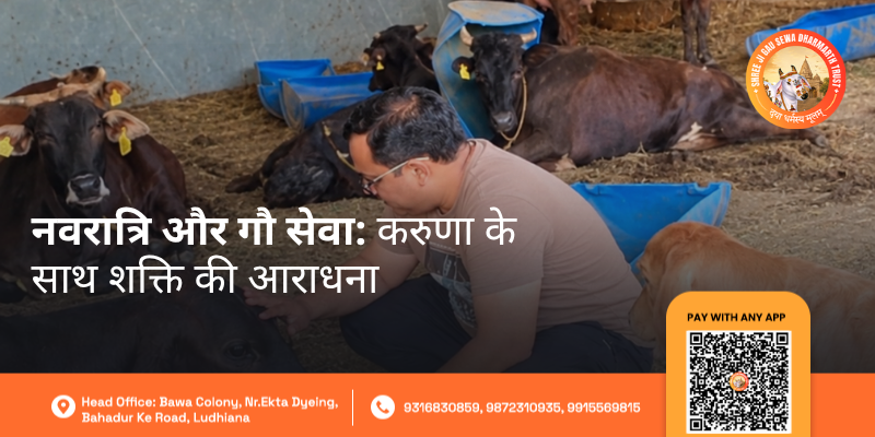 Navratri Mein Gau Seva
